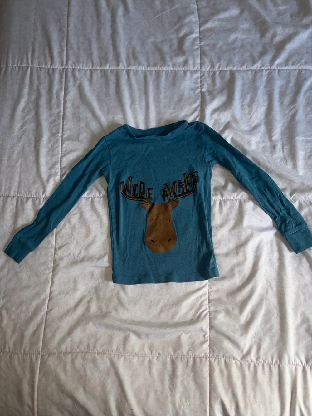 Boys Teal outdoorsy Graphic Pajama Set with Cream Woodland Print Pants